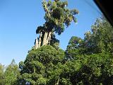 2011-03-12 Whangamomona 011